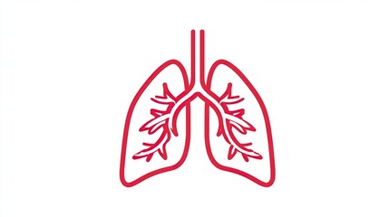 Simple line art illustration of a pair of human lungs in red, showcasing the bronchial tree within each lung, set against a white background