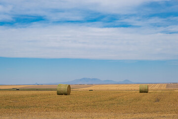 Fototapeta premium hay bales in the field