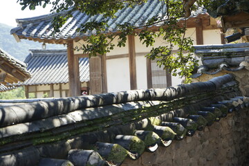 경상북도 안동에 있는 병산서원은 고려시대부터 교육기관으로 사용되어 온 전통적인 한국식 건물로 아름다운 곳입니다.