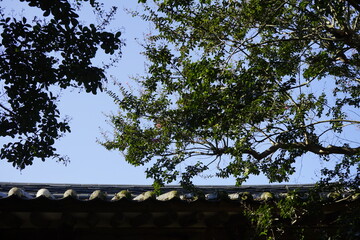 경상북도 안동에 있는 병산서원은 고려시대부터 교육기관으로 사용되어 온 전통적인 한국식 건물로 아름다운 곳입니다.