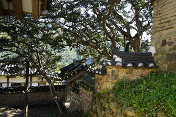 경상북도 안동에 있는 병산서원은 고려시대부터 교육기관으로 사용되어 온 전통적인 한국식 건물로 아름다운 곳입니다.