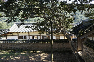 경상북도 안동에 있는 병산서원은 고려시대부터 교육기관으로 사용되어 온 전통적인 한국식 건물로 아름다운 곳입니다.