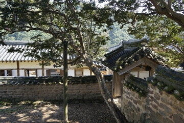 경상북도 안동에 있는 병산서원은 고려시대부터 교육기관으로 사용되어 온 전통적인 한국식 건물로 아름다운 곳입니다.