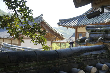 경상북도 안동에 있는 병산서원은 고려시대부터 교육기관으로 사용되어 온 전통적인 한국식 건물로 아름다운 곳입니다.