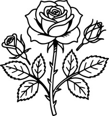 Fototapeta premium A delicate black and white outline illustration of a blooming rose with two rosebuds and accompanying leaves on a stem