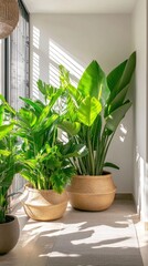 Sunlit indoor garden featuring vibrant tropical plants and textures