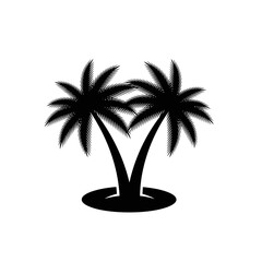 Obraz premium silhouette of palm trees