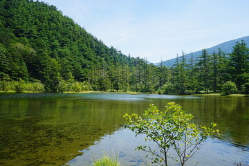 Fototapeta premium Myojin Pond or Myojinike at Kamikochi in Nagano, Japan - 日本 長野 上高地 明神池