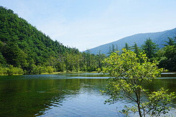 Fototapeta premium Myojin Pond or Myojinike at Kamikochi in Nagano, Japan - 日本 長野 上高地 明神池