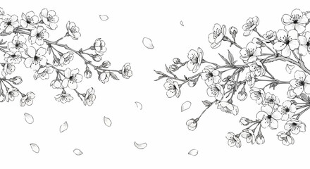 Elegant cherry blossom branches with falling petals create a delicate and serene artistic border © Myanee