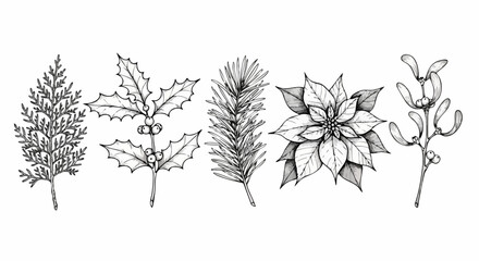 Fototapeta premium Elegant hand-drawn Christmas botanicals including holly, poinsettia, mistletoe, and evergreen branches