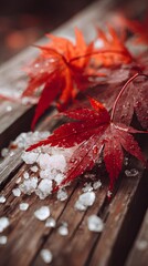 Calm scene with red maple leaves and crystalized snow on brown wood, balanced lighting, no text or logo