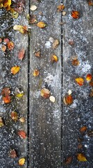 Overhead photo of autumn colors and snow sparkle texture on a weathered boardwalk, no text or logo