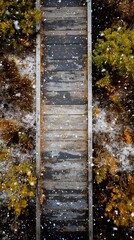 Overhead photo of autumn colors and snow sparkle texture on a weathered boardwalk, no text or logo