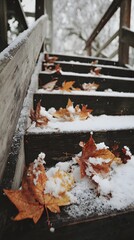 Snow-covered autumn leaves resting gently on wooden stairs, nostalgic feel, no text or logo