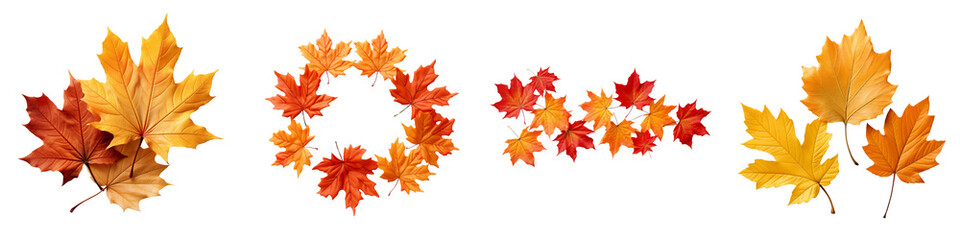 Fototapeta premium Autumn leaves set isolated on transparent background