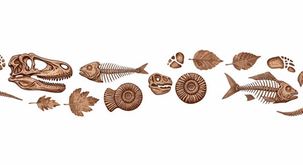 Ancient fossils and dinosaur skulls reveal prehistoric life, perfect for educational and historical projects © Myanee