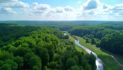 peaceful nature landscape with flowing river - scenic aerial forest view with river