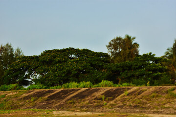 Coastal Embankment with Green Landscape Protecting City from River Tides in Bangladesh