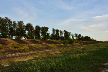 Coastal Embankment with Green Landscape Protecting City from River Tides in Bangladesh