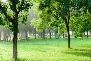 The environmental landscape in urban parks, with early morning sunlight shining on park green spaces, lawns, forests, sidewalks, and some buildings