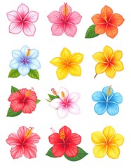 Tropical hibiscus flower illustration with vibrant colors high resolution sticker