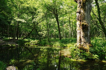 Obraz premium Kamikochi in Nagano, Japan - 日本 長野 上高地