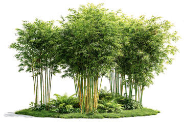 Vibrant bamboo grove with lush green foliage creates a tranquil, natural oasis perfect for serene landscape designs and peaceful spaces