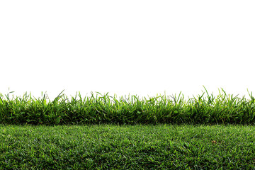 Lush green grass texture with bright sunlight creates a vibrant, fresh outdoor scene, perfect for various design and marketing projects