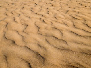 Closeup of Sand Dune on Beach