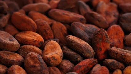 Closeup Photo of Coffee Beans