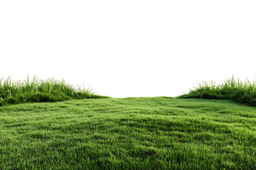 Vibrant green grass field with lush textures, perfect for creating natural backgrounds in various design projects, adding a fresh, clean aesthetic
