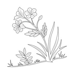 a vector line art illustration Delicate Wildflowers in Bloom