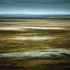 Vast tundra landscape