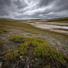 Arctic tundra landscape