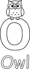 Owl on Letter O Illustration