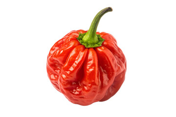 Vibrant red habanero pepper isolated on black