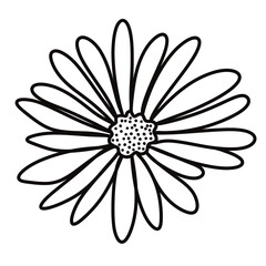 cute flower icon vector illustration