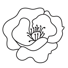 cute flower icon vector illustration