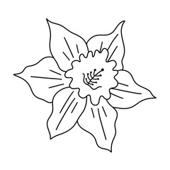 cute flower icon vector illustration