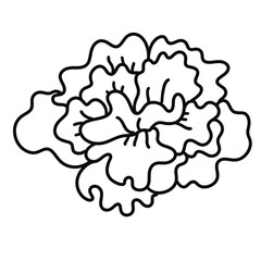 cute flower icon vector illustration