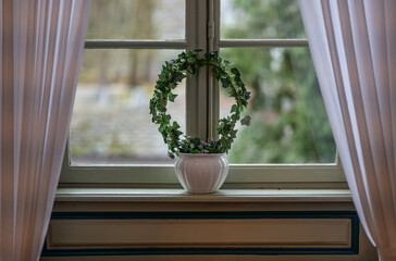 flower pot on the windowsill