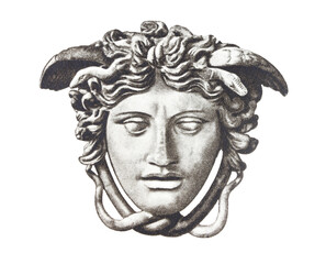 Fototapeta premium Mythical medusa head with serpentine hair and intense expression for greek mythology theme