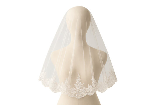 Elegant bridal veil with lace trim isolated on transparent background veil shot