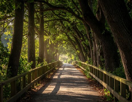 Sunlight-drenched path through a canopy of trees (1) - Powered by Adobe