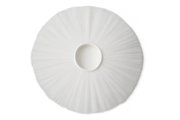 Beautiful white ballet tutu, isolated on transparent background for dance