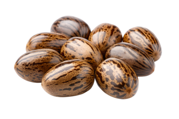 Pile of castor beans on black background