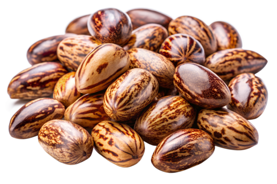 Pile of castor beans on black background
