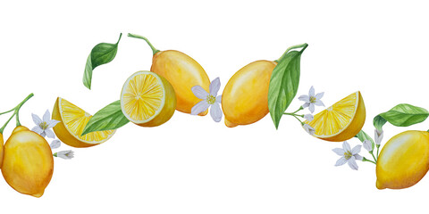 Watercolor lemon set. Half, slice, green leaf, branch of summer tropical fruit. Antiviral health food. Perfect for home decor, card making, cocktail menu.