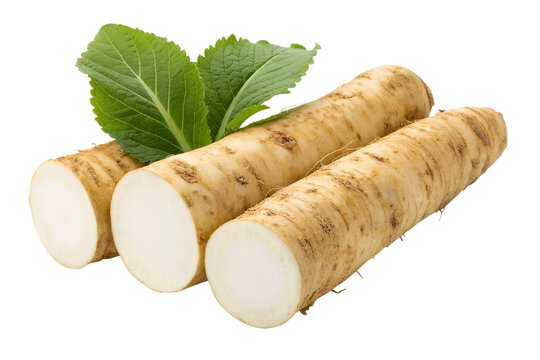 Fresh yam root vegetable with green leaves